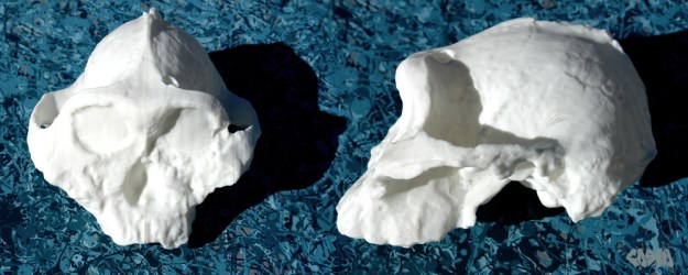 20121123KNMER406PrintProgressPhoto