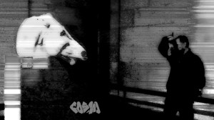 Scanning_Head_of_Horse_of_Selene_logo